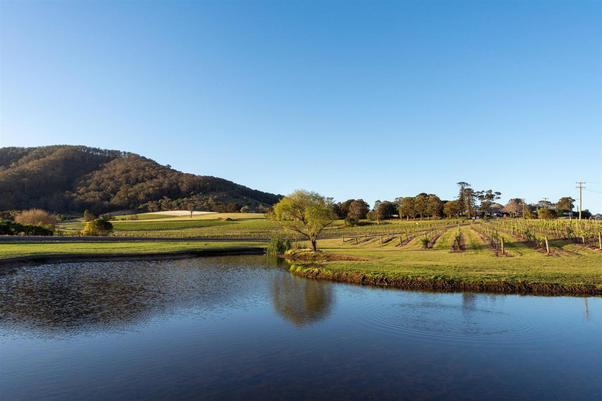 Coolangatta Estate Shoalhaven Heads Μοτέλ Εξωτερικό φωτογραφία