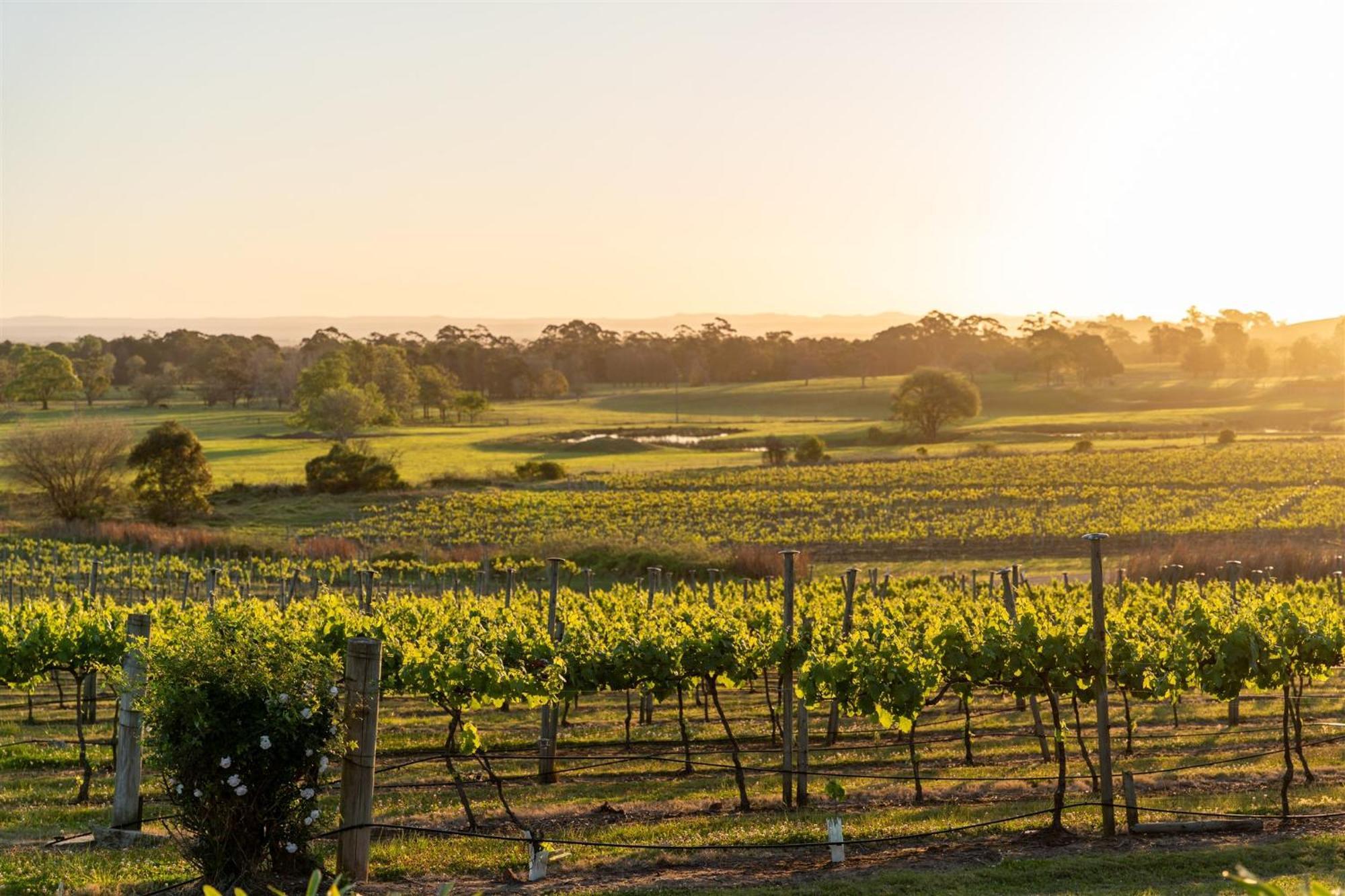 Coolangatta Estate Shoalhaven Heads Μοτέλ Εξωτερικό φωτογραφία