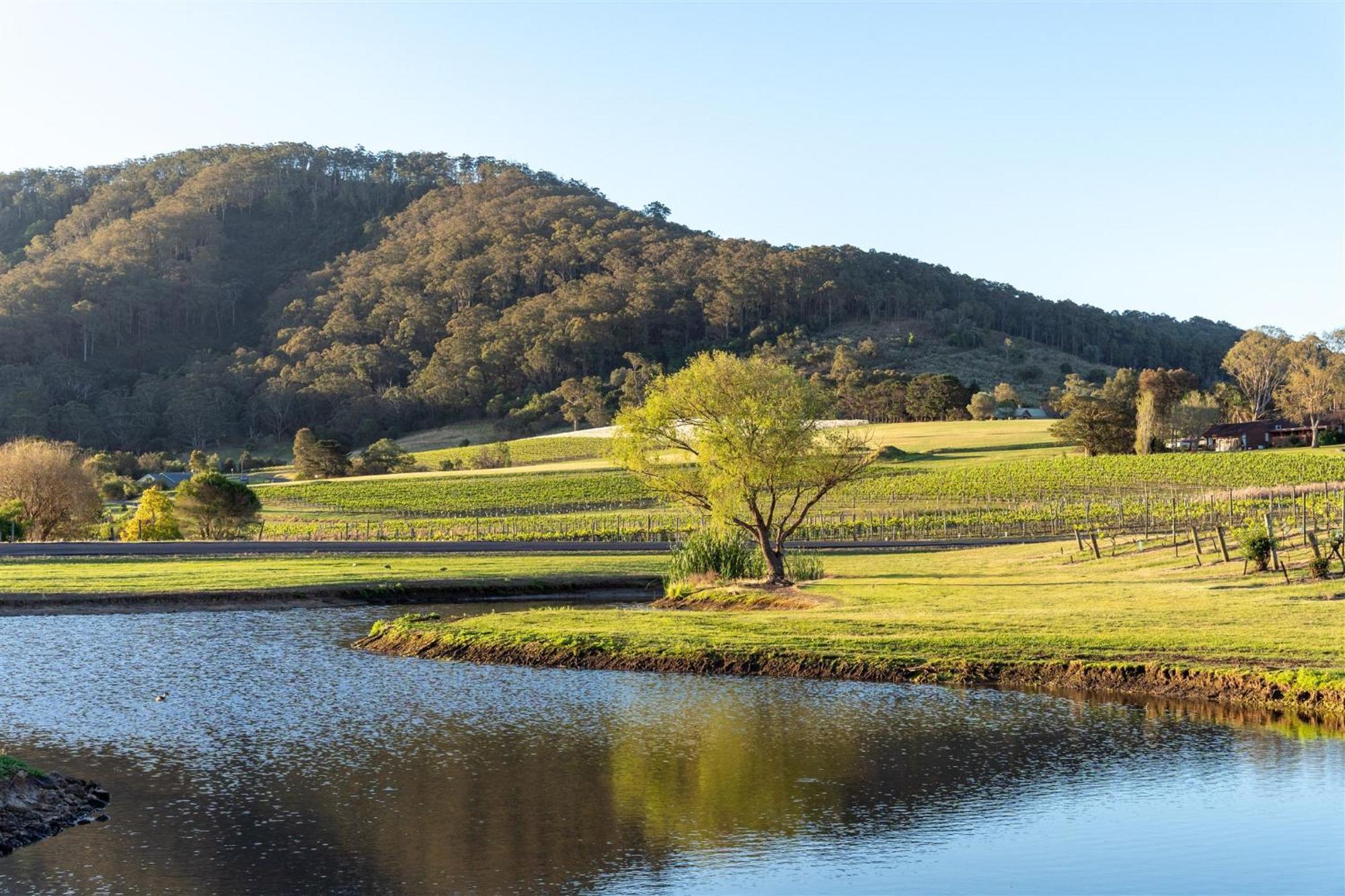 Coolangatta Estate Shoalhaven Heads Μοτέλ Εξωτερικό φωτογραφία