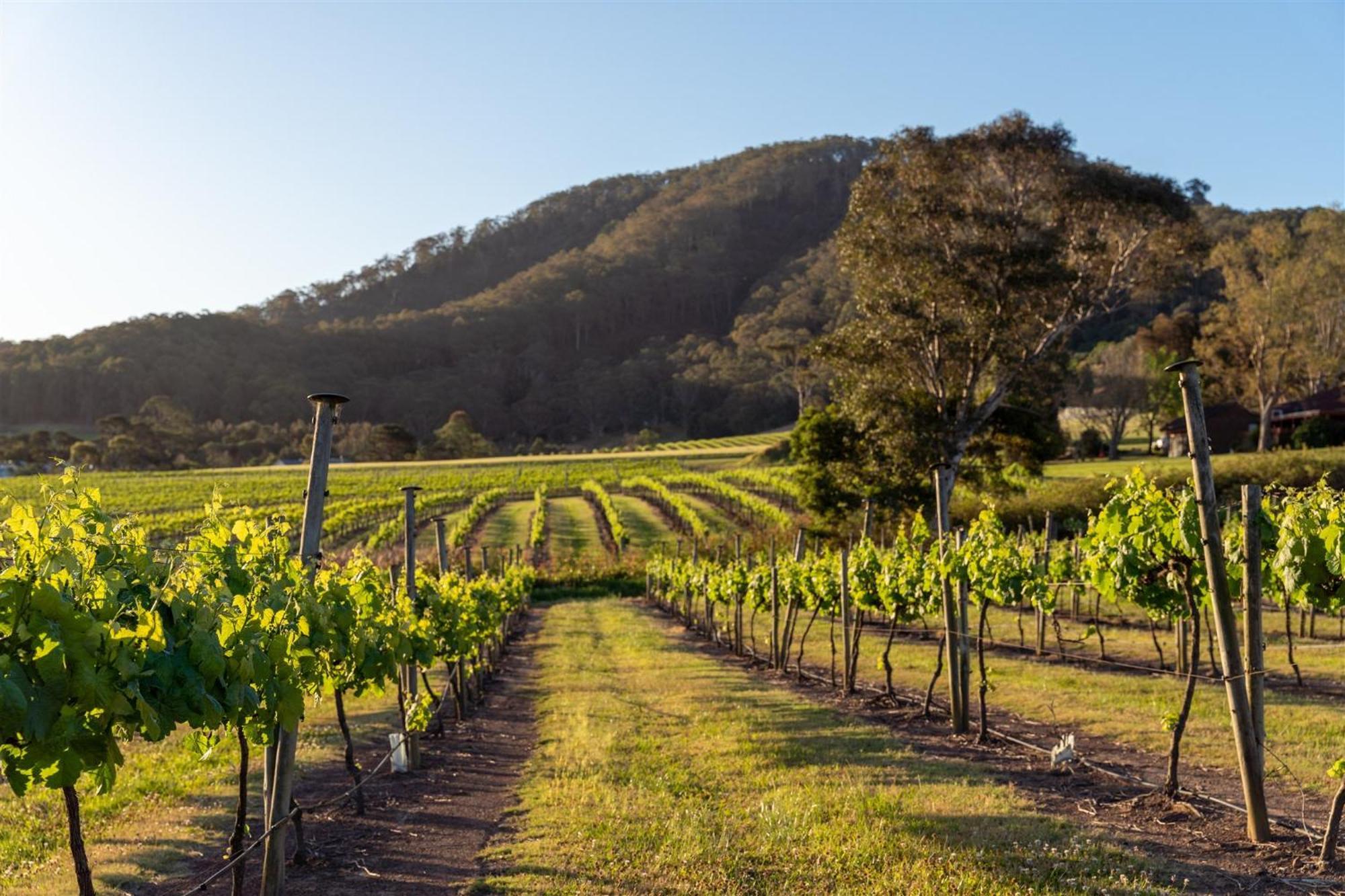 Coolangatta Estate Shoalhaven Heads Μοτέλ Εξωτερικό φωτογραφία