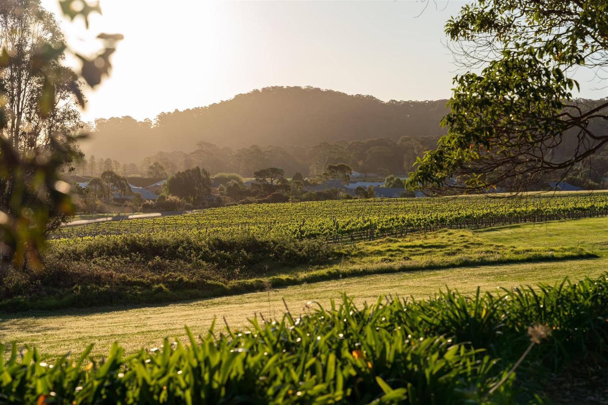 Coolangatta Estate Shoalhaven Heads Μοτέλ Εξωτερικό φωτογραφία