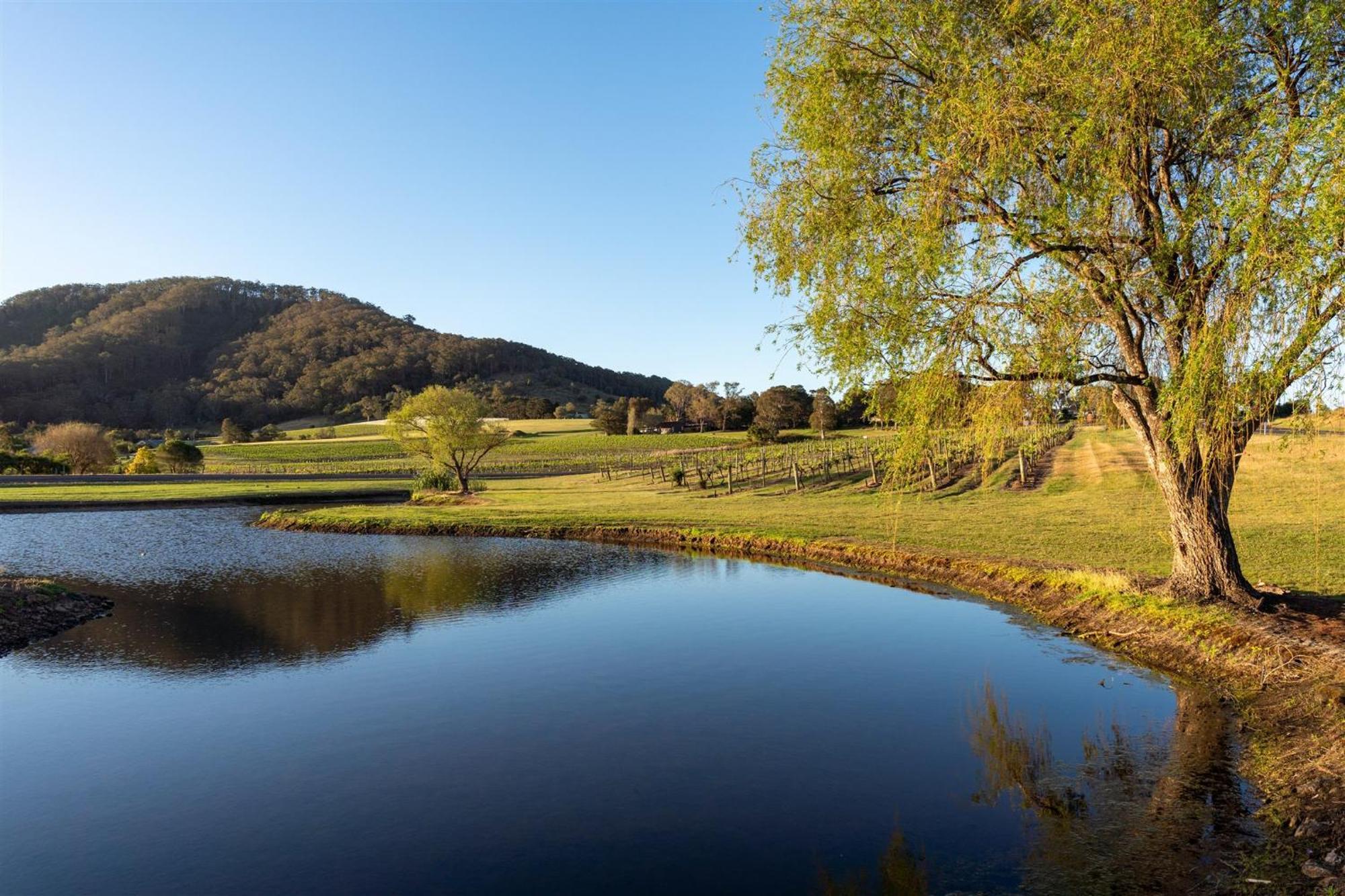 Coolangatta Estate Shoalhaven Heads Μοτέλ Εξωτερικό φωτογραφία