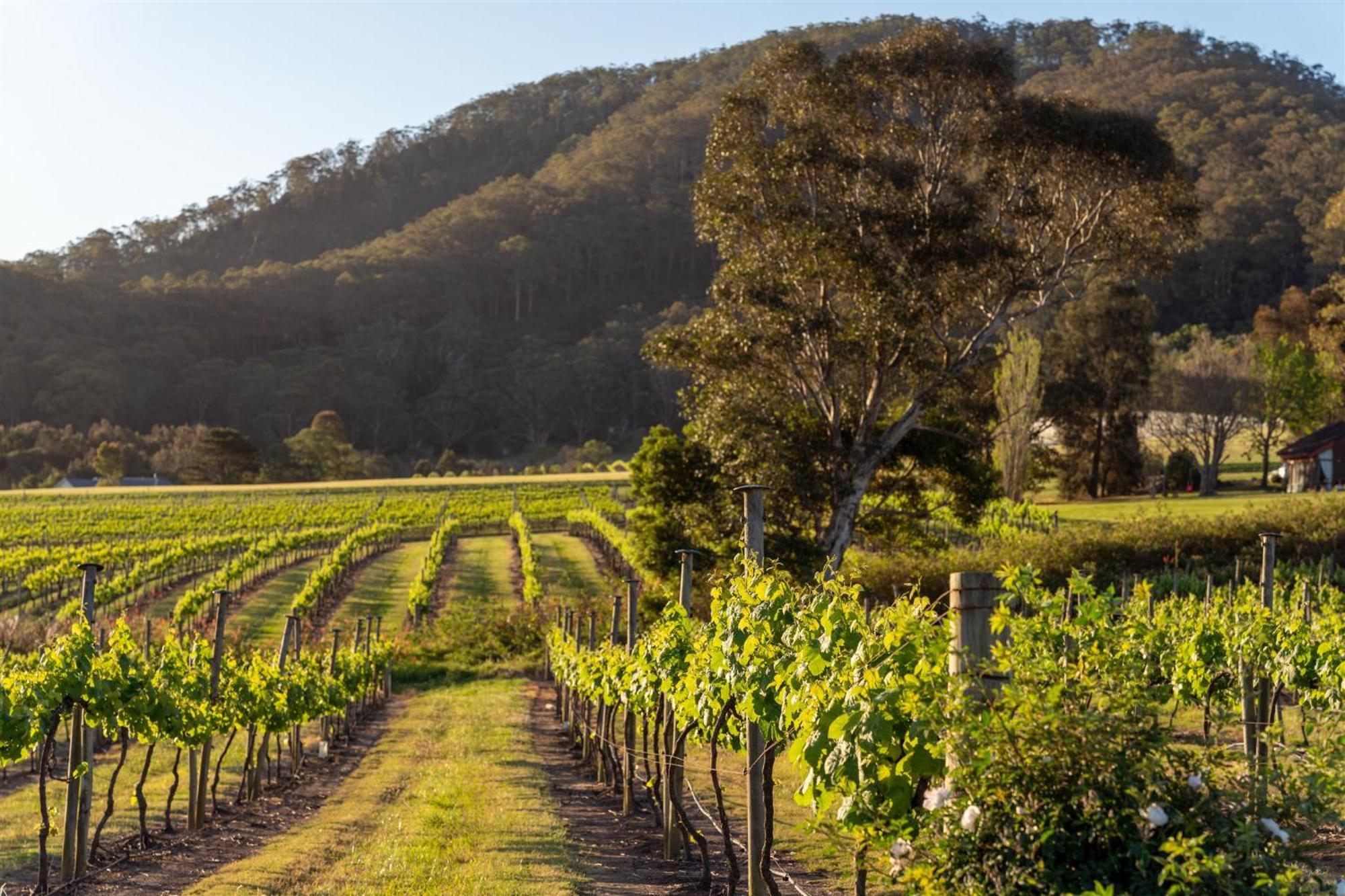 Coolangatta Estate Shoalhaven Heads Μοτέλ Εξωτερικό φωτογραφία